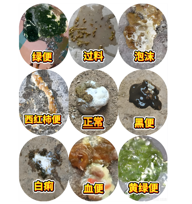 QQ图片20260514101059.png QQ图片20260514101059.png