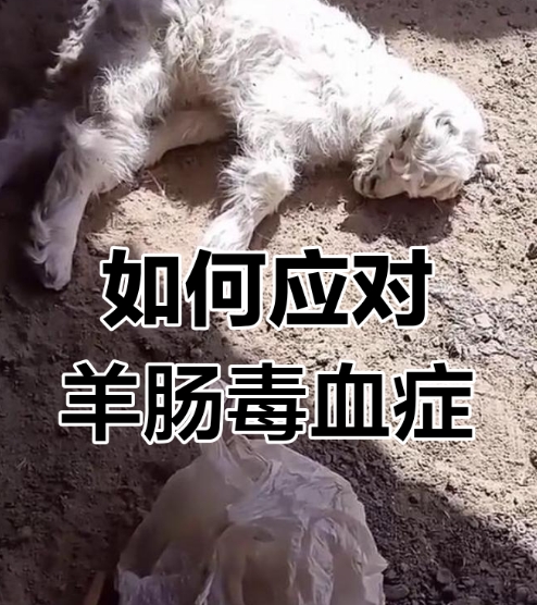 微信截图_20260519092131.jpg