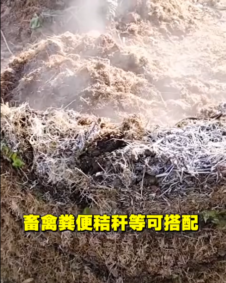 截图20260519094428.png
