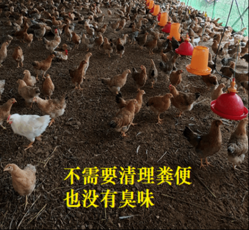 QQ图片20260526144530.png