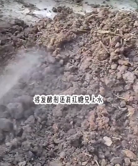 截图20260602090809.png