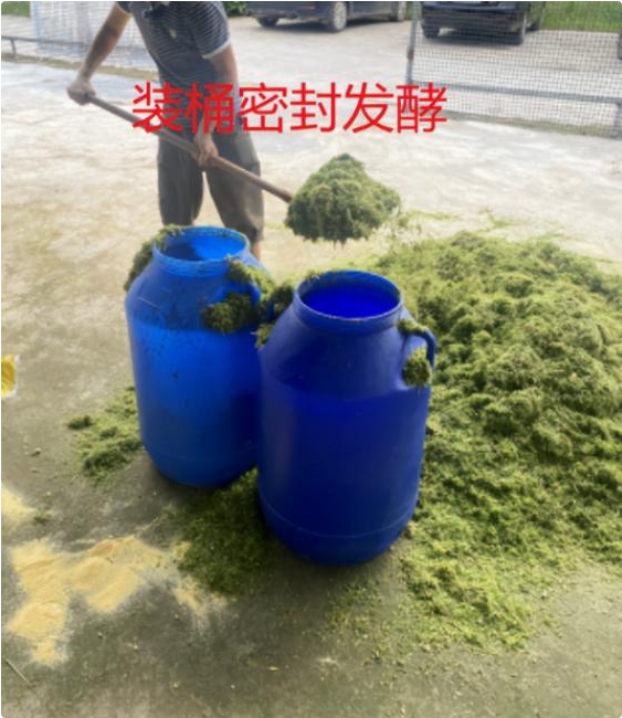 a5a7d18fb6ba1dddab6683cb060bf8a2_17806274721332578.png a5a7d18fb6ba1dddab6683cb060bf8a2_17806274721332578.png