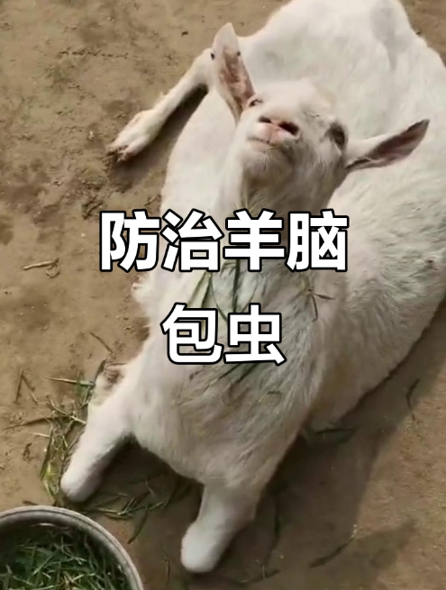 微信截图_20260608090625.jpg 微信截图_20260608090625.jpg