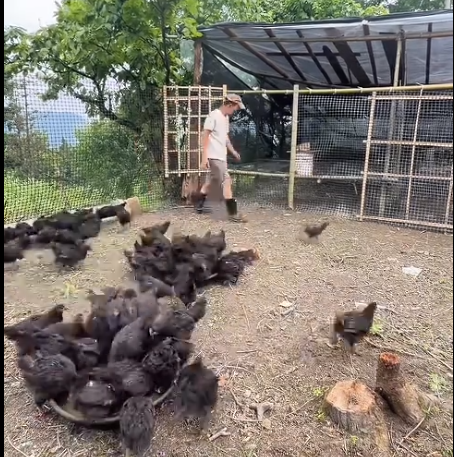 截图20260610091716.png