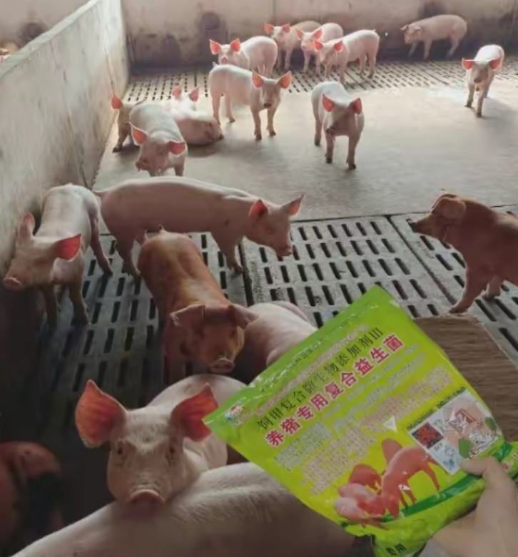 微信截图_20260611102437.jpg