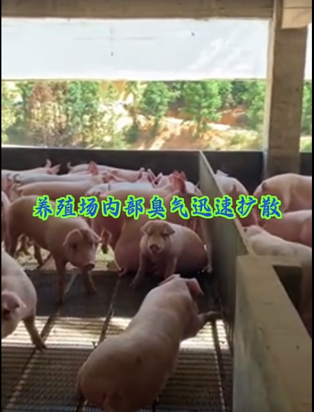 截图20260612100352.png