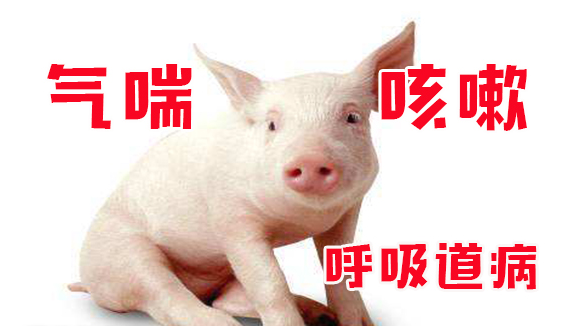 截图20260612102206.png