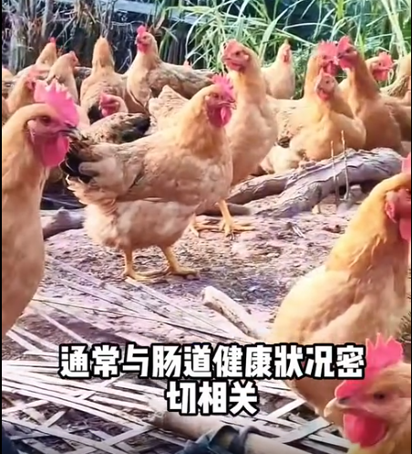截图20260616092200.png 截图20260616092200.png