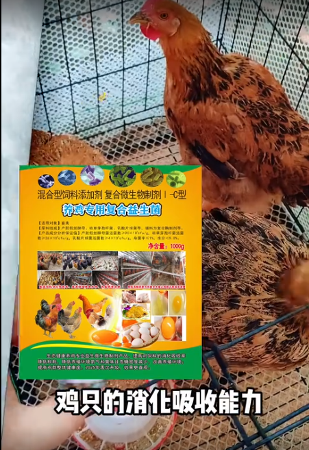 截图20260616092335.png 截图20260616092335.png