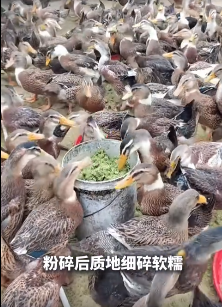 截图20260618091750.png