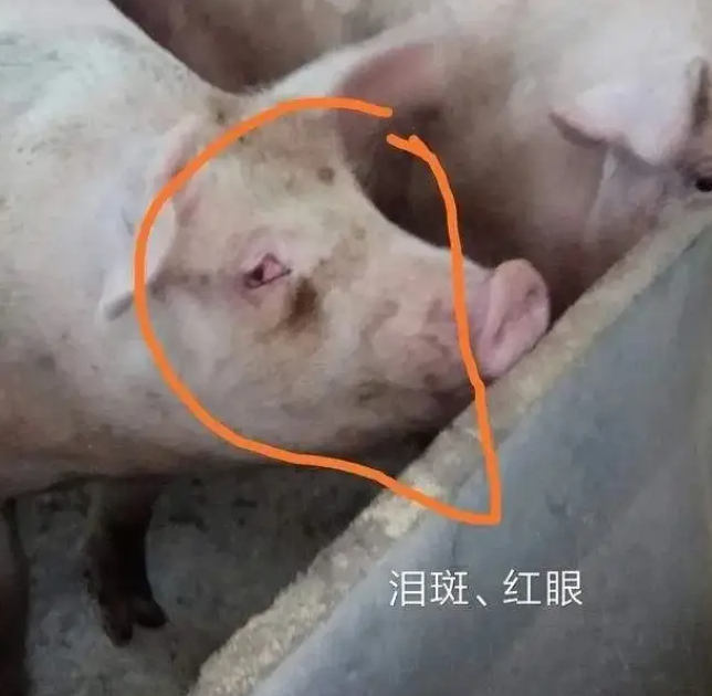 截图20260623095924.png 截图20260623095924.png