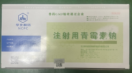 微信截图_20260624090704.jpg