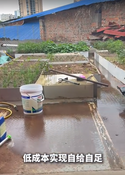 截图20260624092455.png
