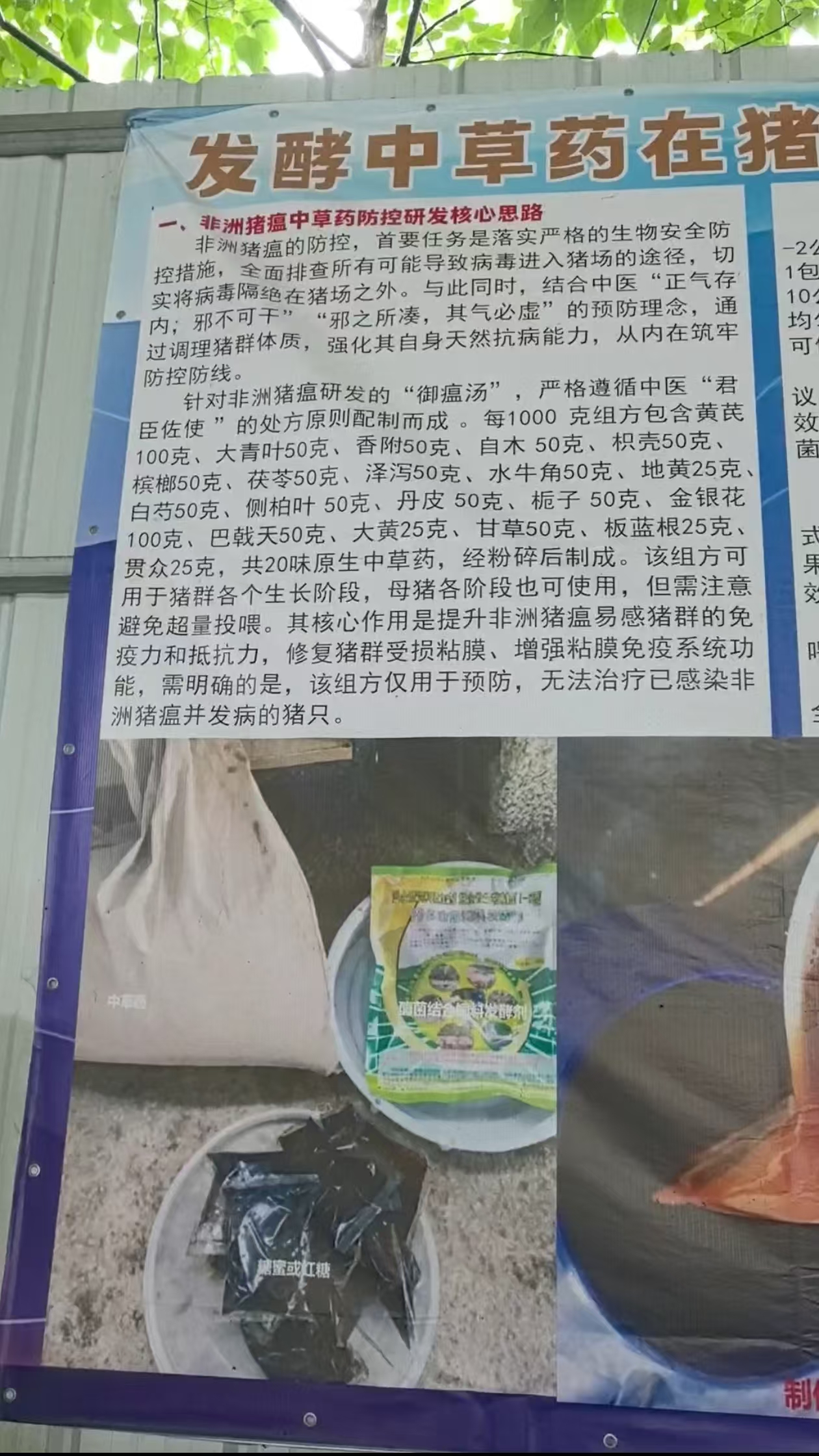 微信图片_20260626101157_516_8.jpg
