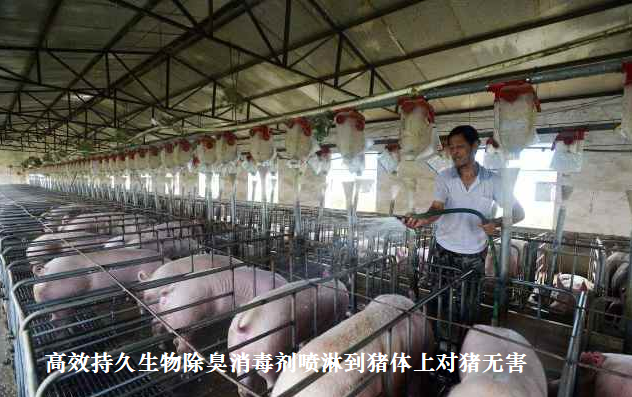 QQ图片20260626135111.png