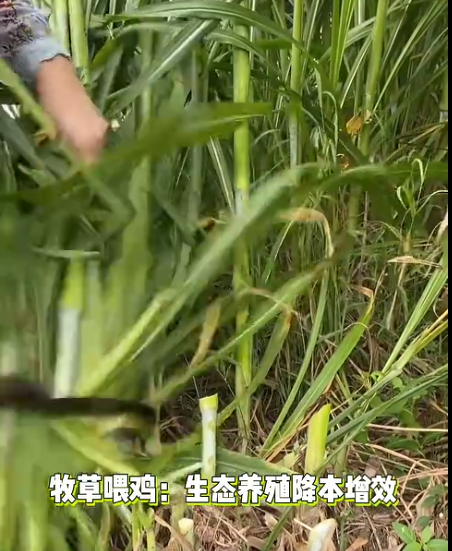 截图20260627090004.png