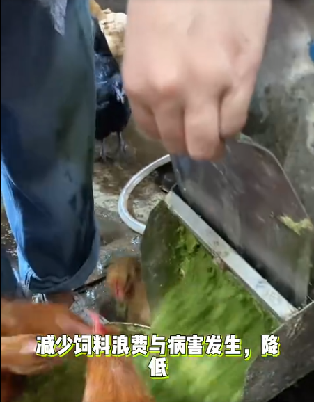 截图20260627090321.png