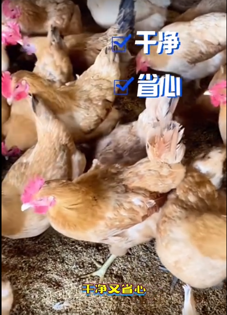 截图20260630093951.png