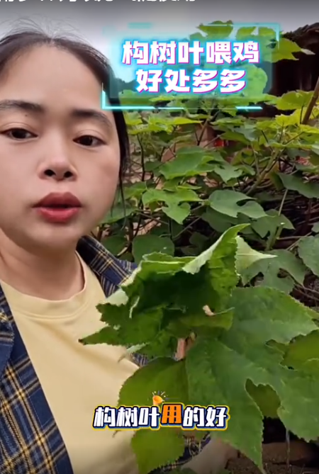 截图20260701092645.png