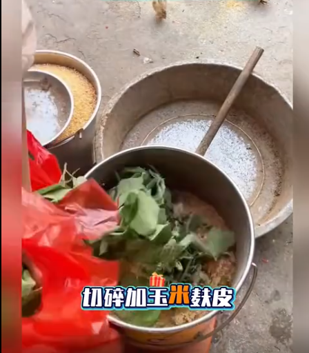 截图20260701093000.png