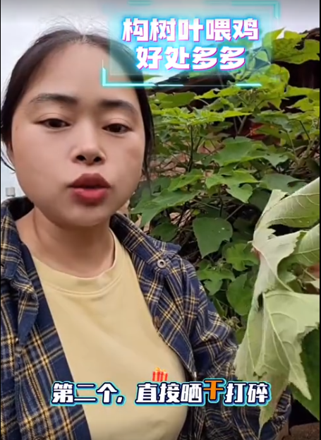 截图20260701093113.png