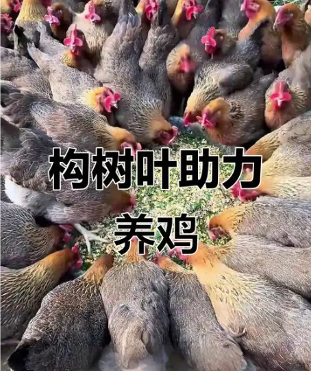 截图20260520092720.png