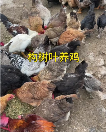 截图20260520093006.png