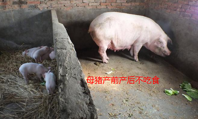 截图20260701095000.png