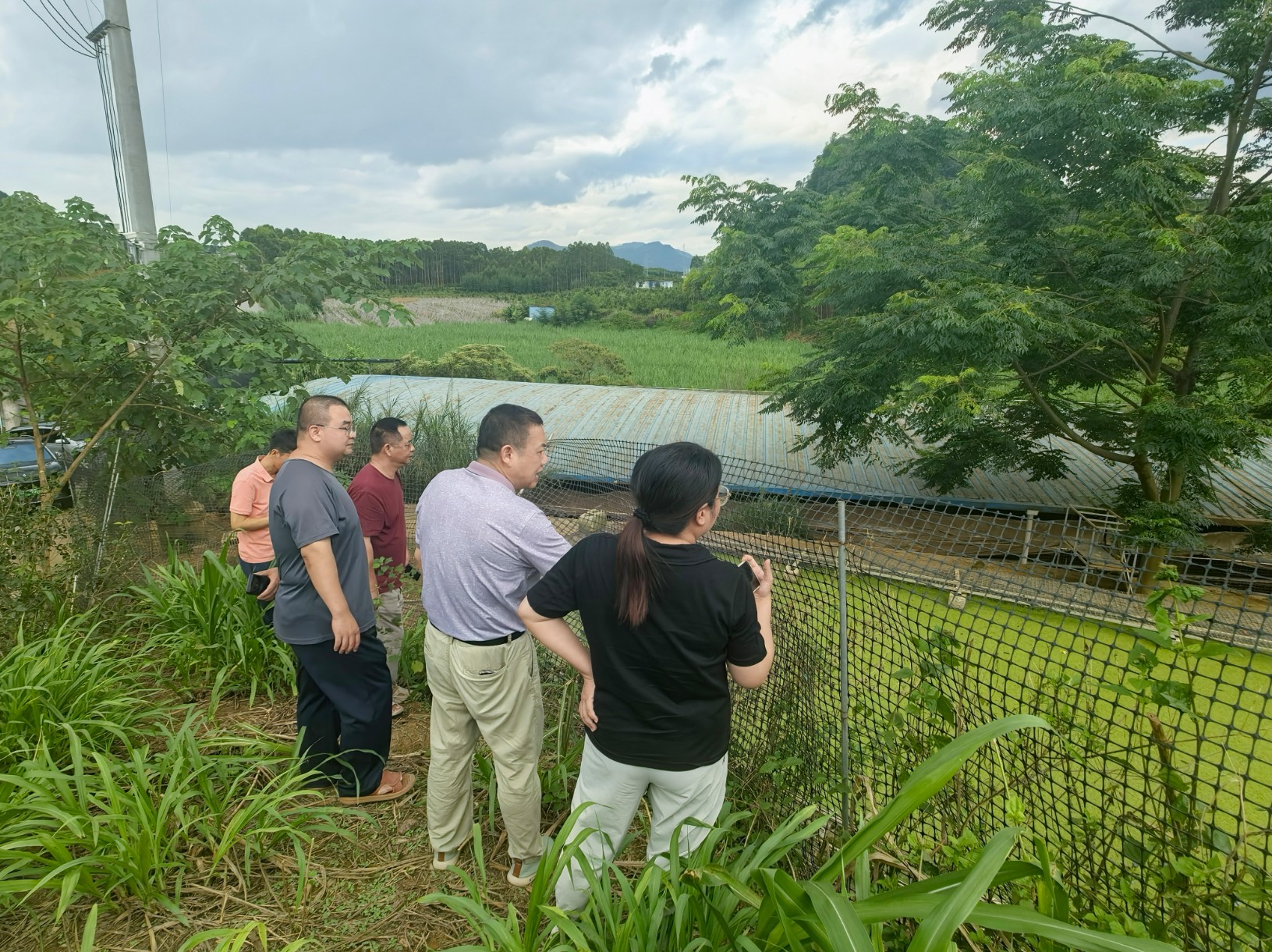 畜牧研究院莅临助农基地指导调研2.jpg