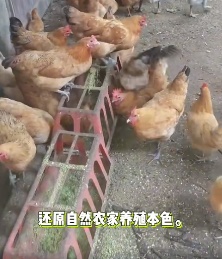 截图20260704092412.png