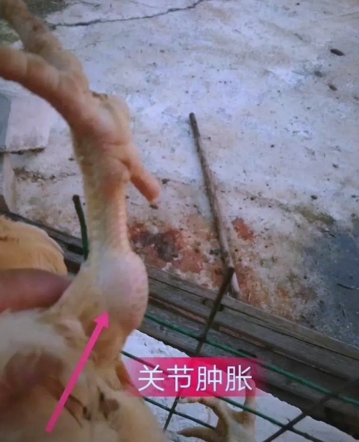 微信截图_20260706092122.jpg