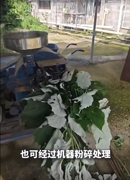 截图20260707093739.png