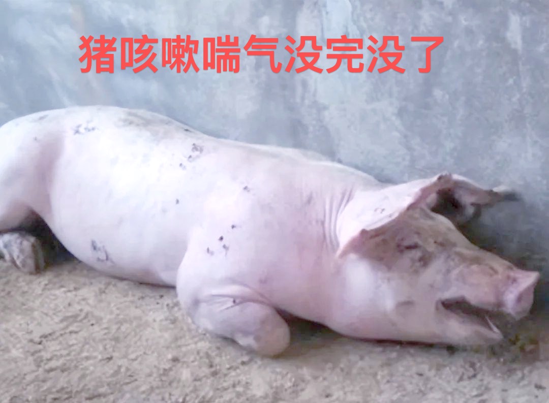 微信图片_20260707103617.jpg