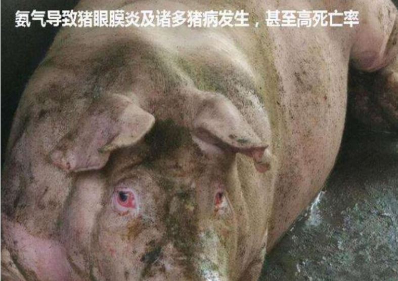 微信截图_20260707103318.jpg