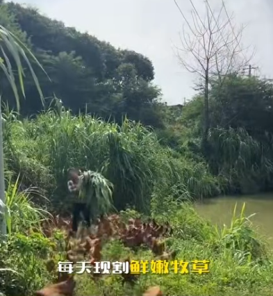截图20260708091704.png