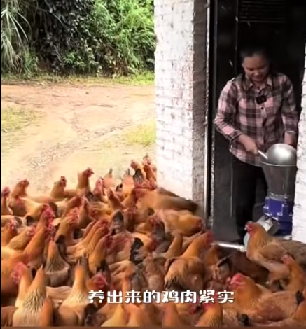 截图20260708092705.png