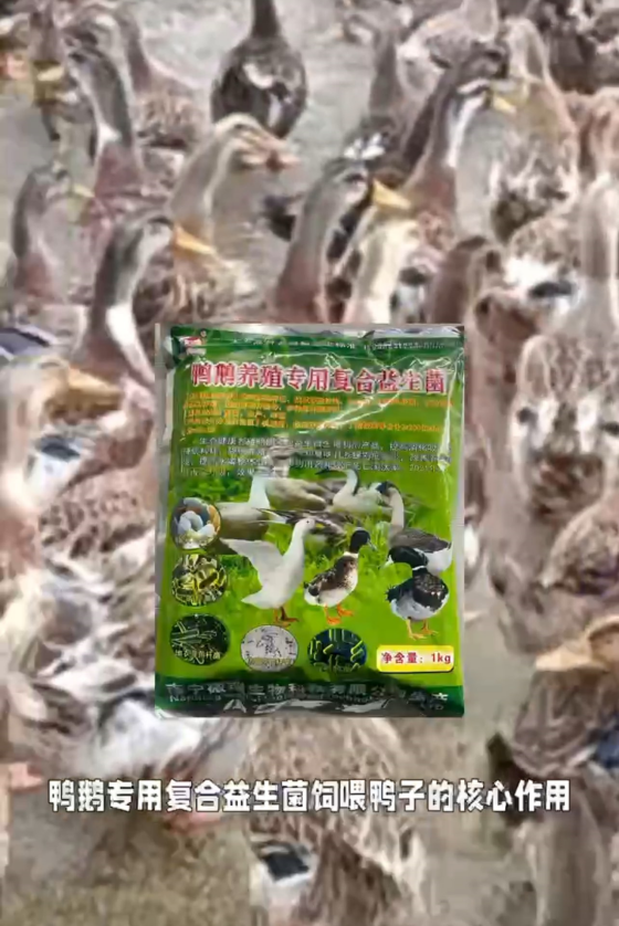 D347AD4A52D4840149D8E6D2EB56A8B4.png