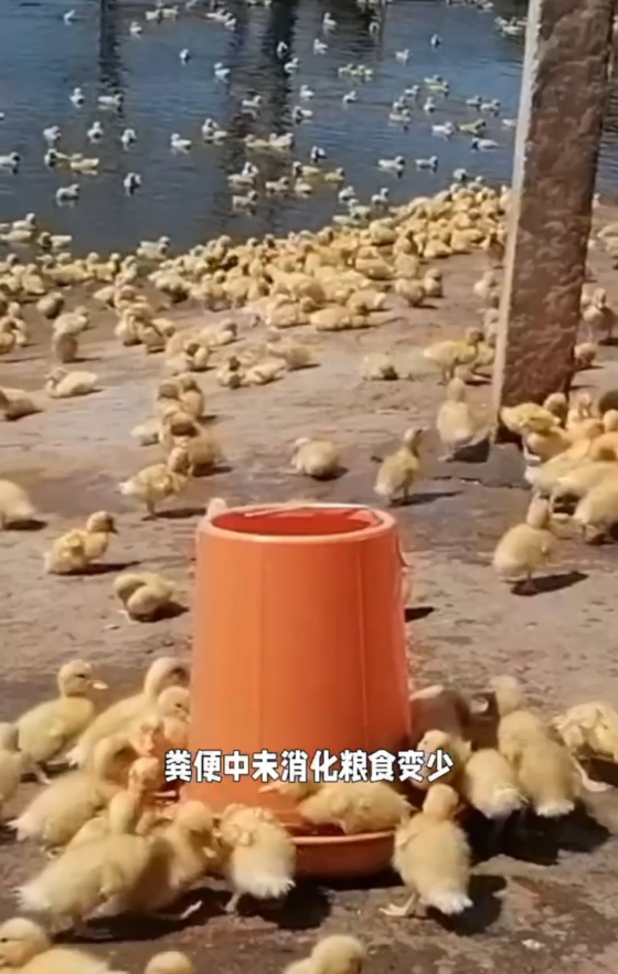 975203AB94FC775D63308123BC4D285B.png