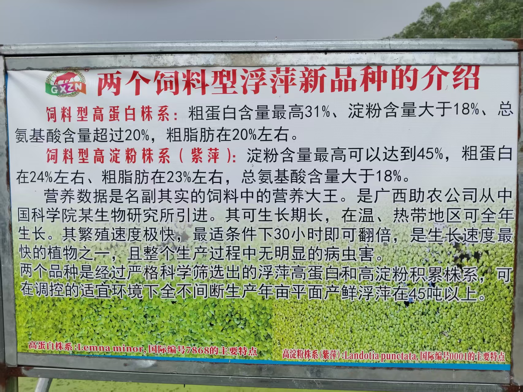 ff42ac1112e45228e479e4b7b49ee22a.jpg ff42ac1112e45228e479e4b7b49ee22a.jpg