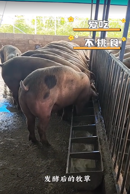 截图20260710092544.png