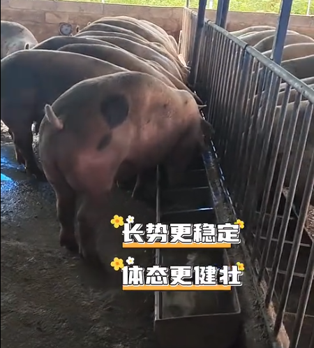 截图20260710093152.png