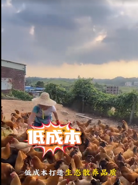 截图20260711100825.png