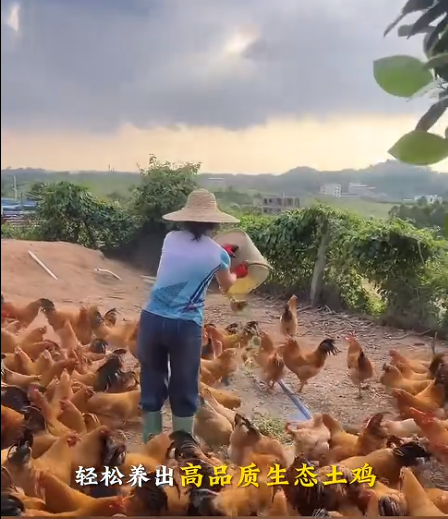 截图20260711100918.png