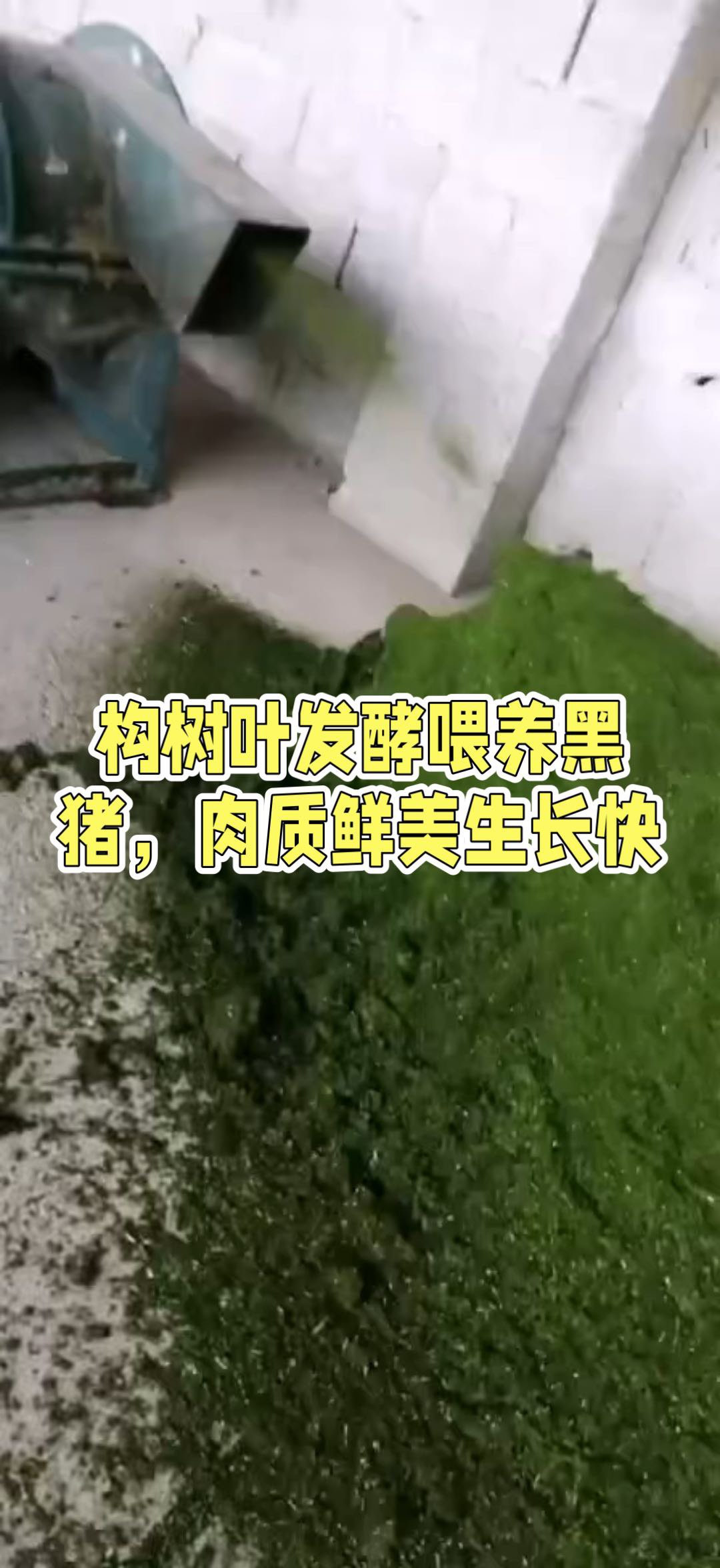 QQ图片20260713143819.jpg