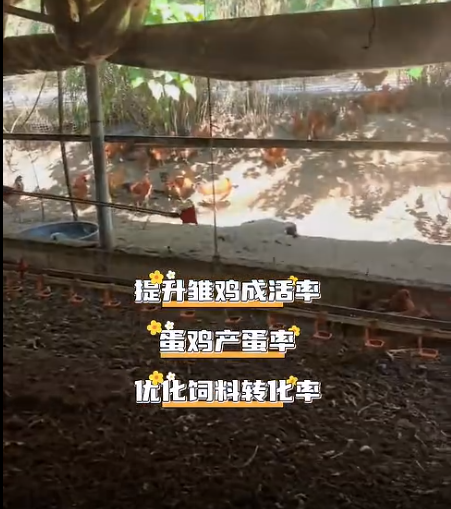 截图20260714100247.png