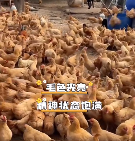 截图20260716093846.png