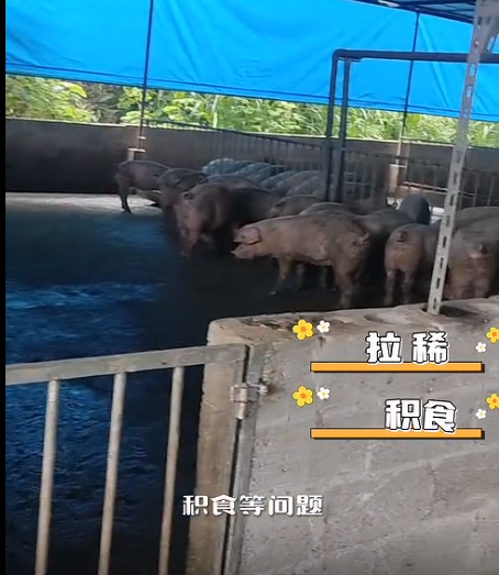 截图20260716110047.png