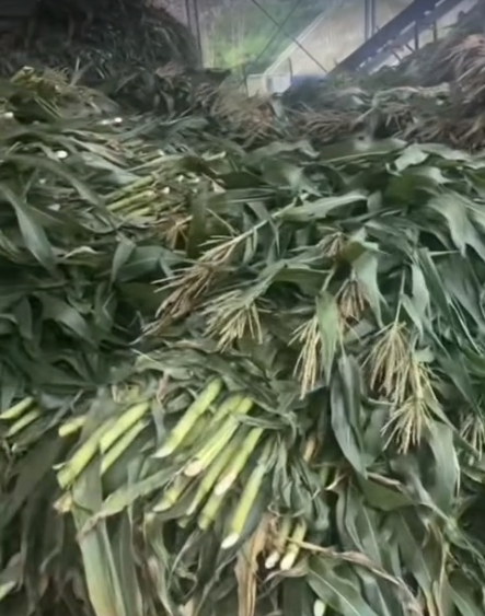 截图20260717104658.png