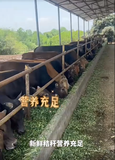 截图20260717105925.png