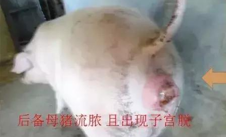 截图20260720104343.png